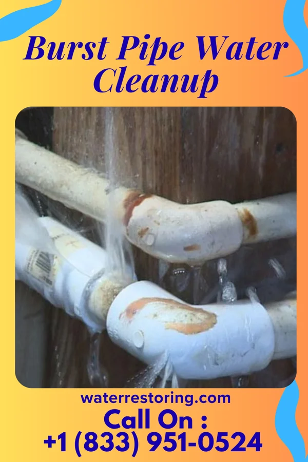 Burst Pipe Water Cleanup in Stanfield, OR