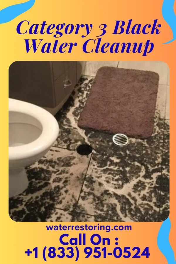 Category 3 Black Water Cleanup in Stanfield, OR