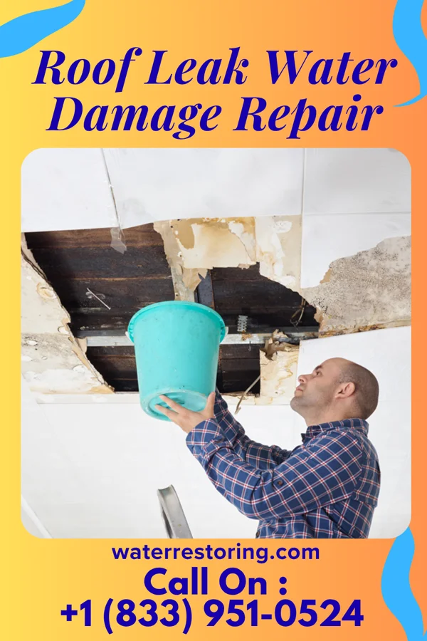 Roof Leak Water Damage Repair in Stanfield, OR